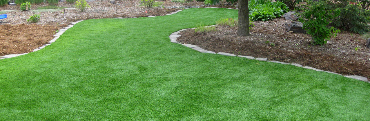 ESSENTIAL TIPS FOR BEST LOOKING LAWN